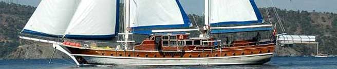 Caicchi in Turchia